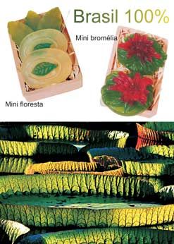 LINHA FLORESTA
